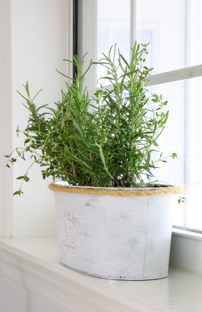 Decorating with herb plants in the kitchen
