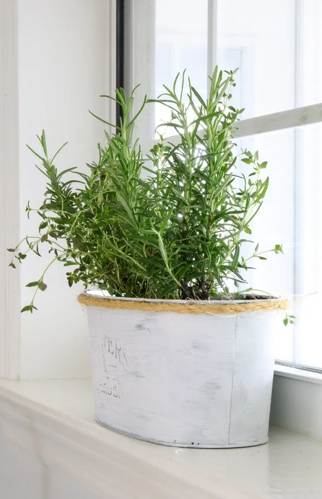 Decorating with herb plants in the kitchen