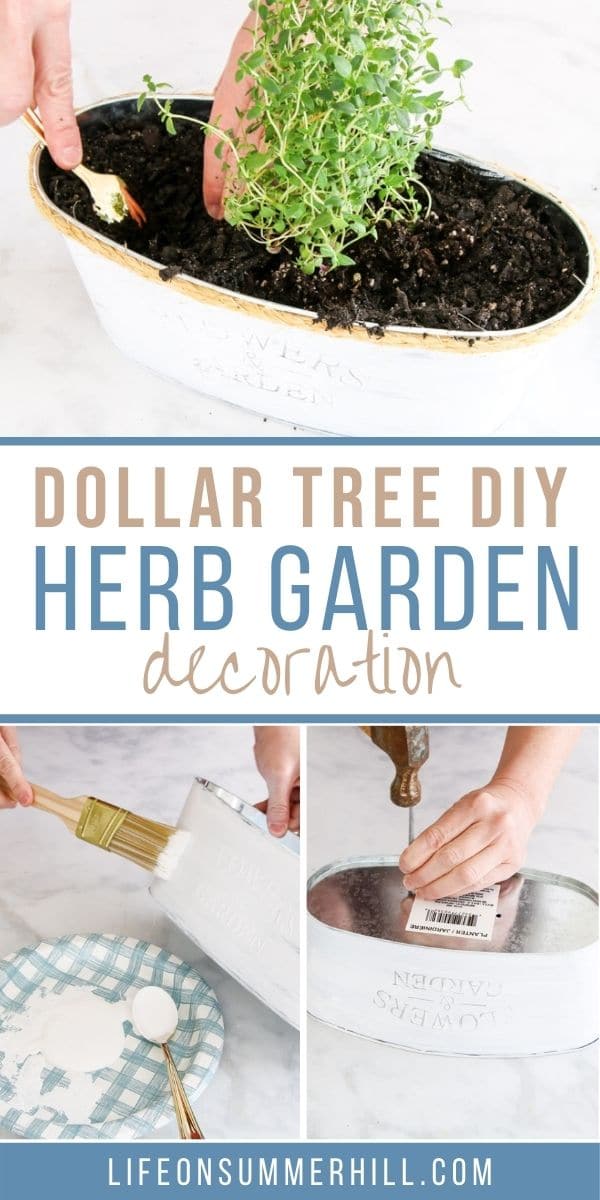 Dollar tree DIY herb garden indoor decoration