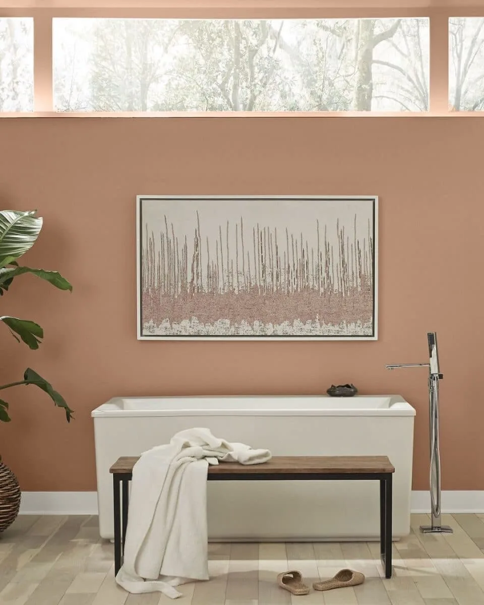 Behr paint color of the year 2021 Canyon Dusk