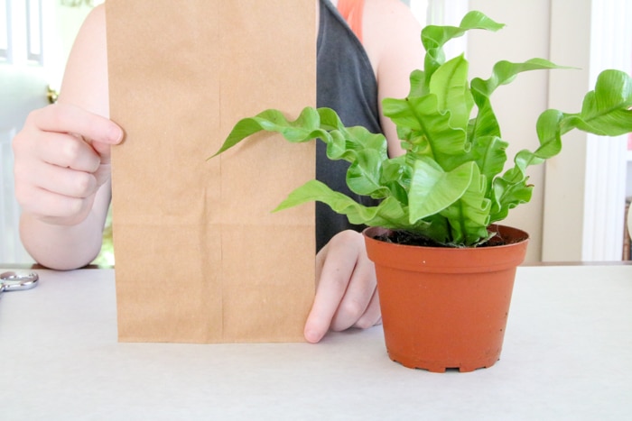 DIY brown paper bag planters tutorial