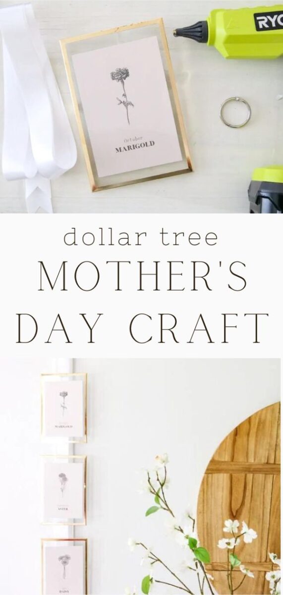 Dollar tree mothers day craft gift idea
