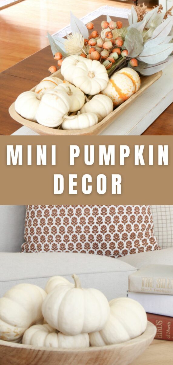 Mini pumpkin decor