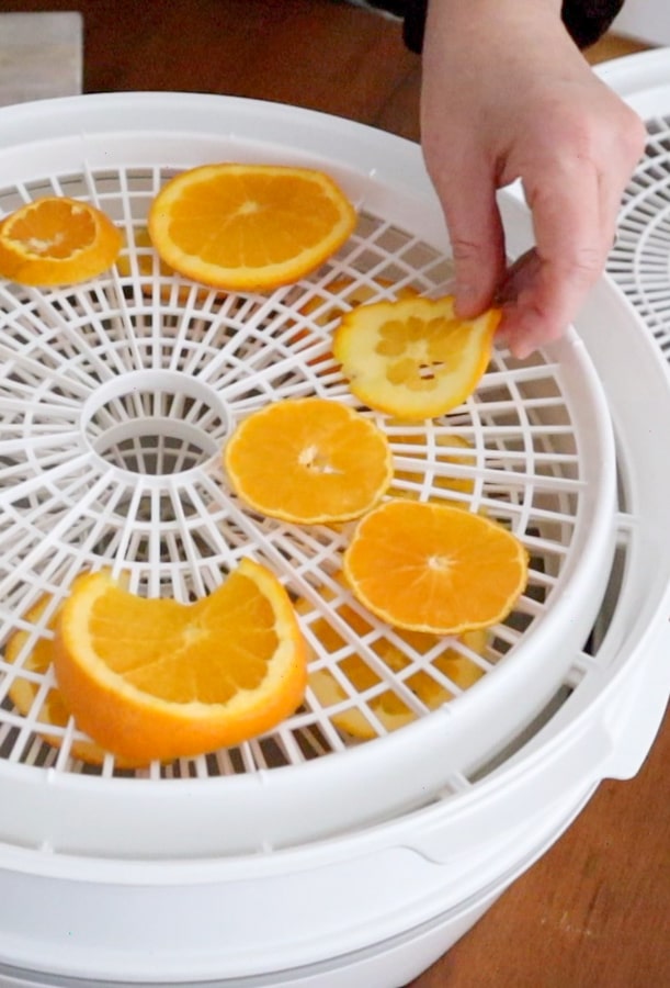 Sitting orange chips in a dehydrator