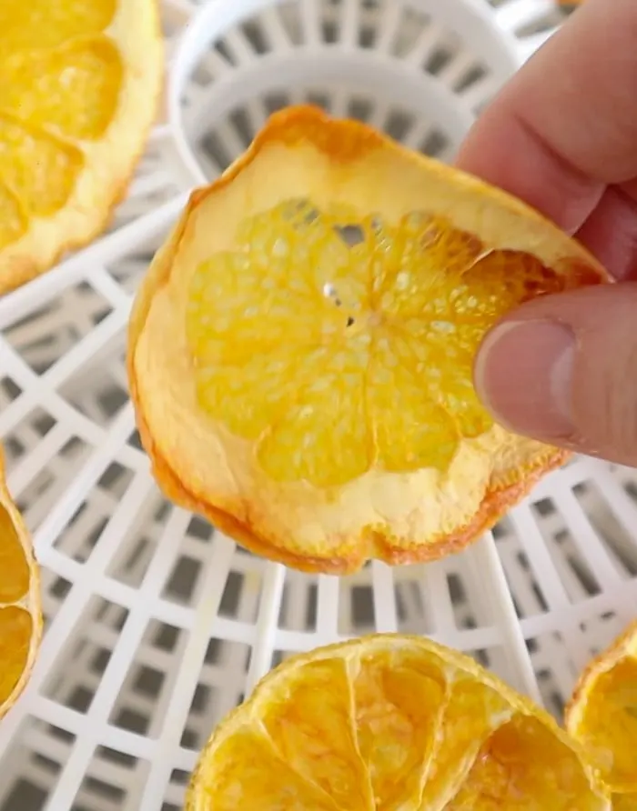 Removing dried thin orange slices from a dehydrator