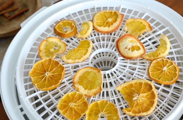 Beautiful orange dried slices sitting in a dehydrater
