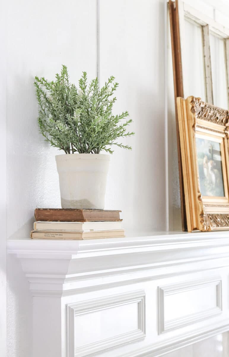Stack of books on mantel with an faux herb plant sitting on it