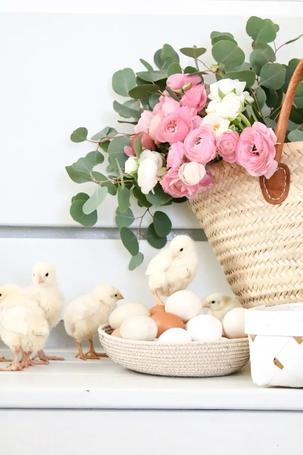 Baby chicks inside a house with flowers and baskets