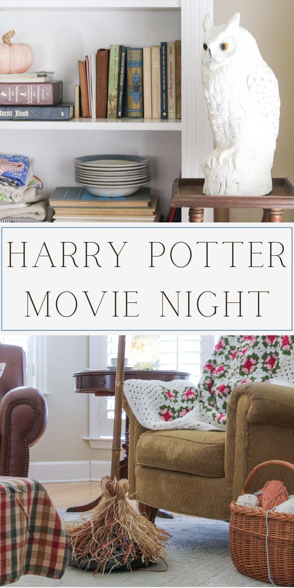 Harry Potter Movie Night