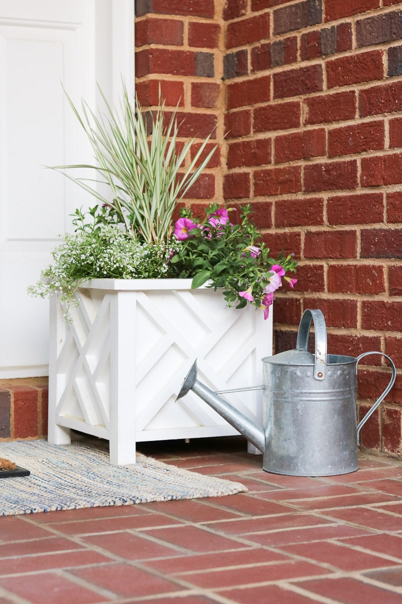 Front porch container garden idea with sweet alyssum and pink petunias