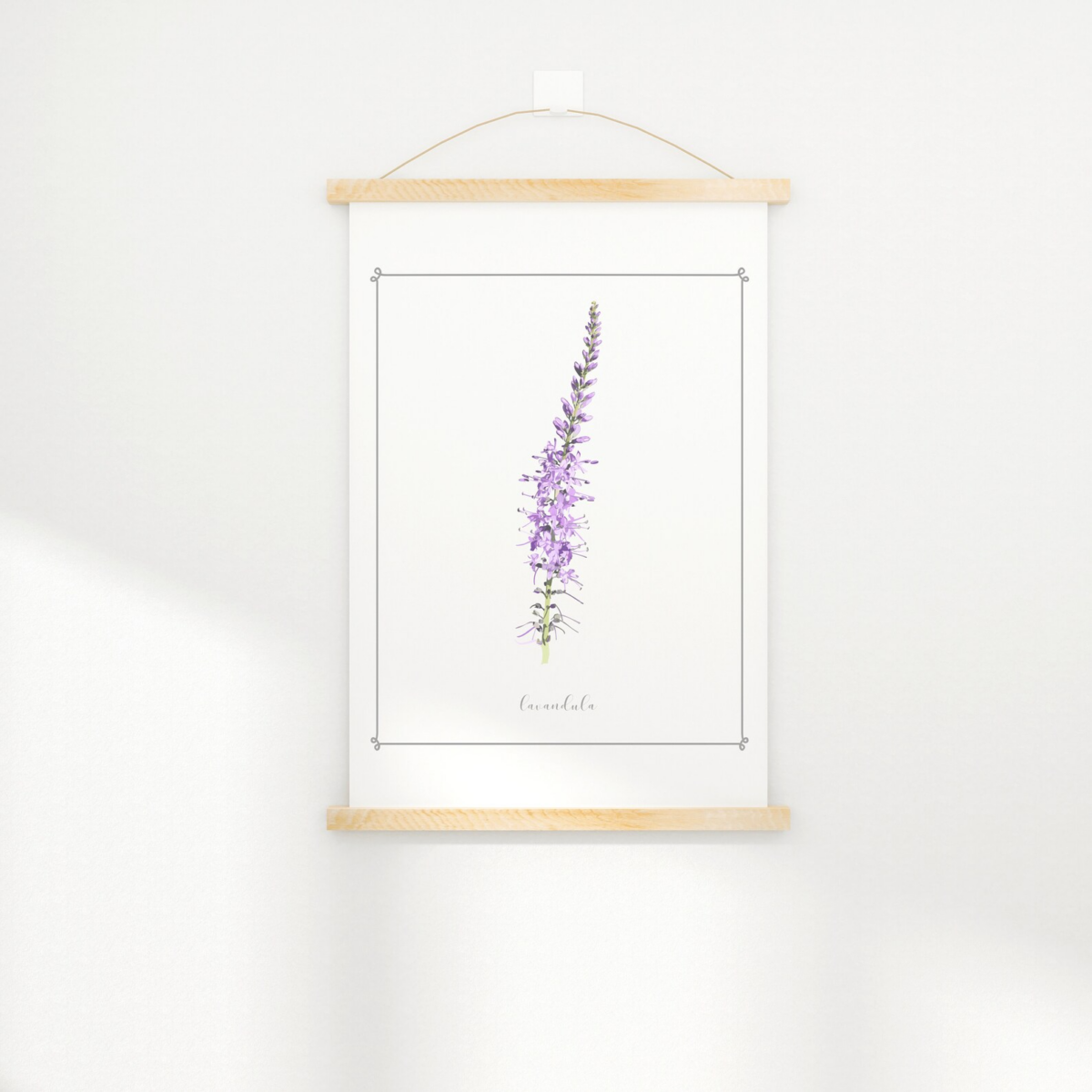 Botanical lavender flower printable art