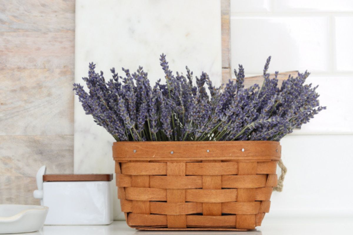Decorating With Lavender Flowers - One Happy Housewife