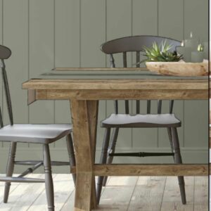 2024 Paint color of the year