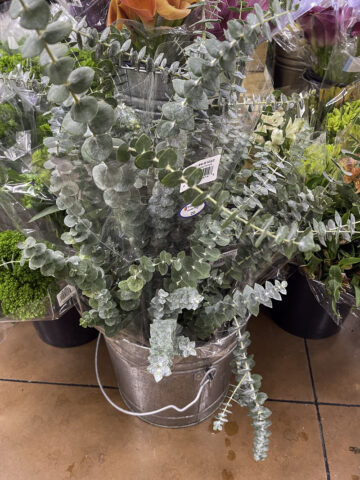 Comprehensive Guide to Trader Joe's Flowers