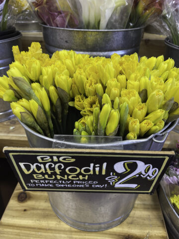 Comprehensive Guide to Trader Joe's Flowers