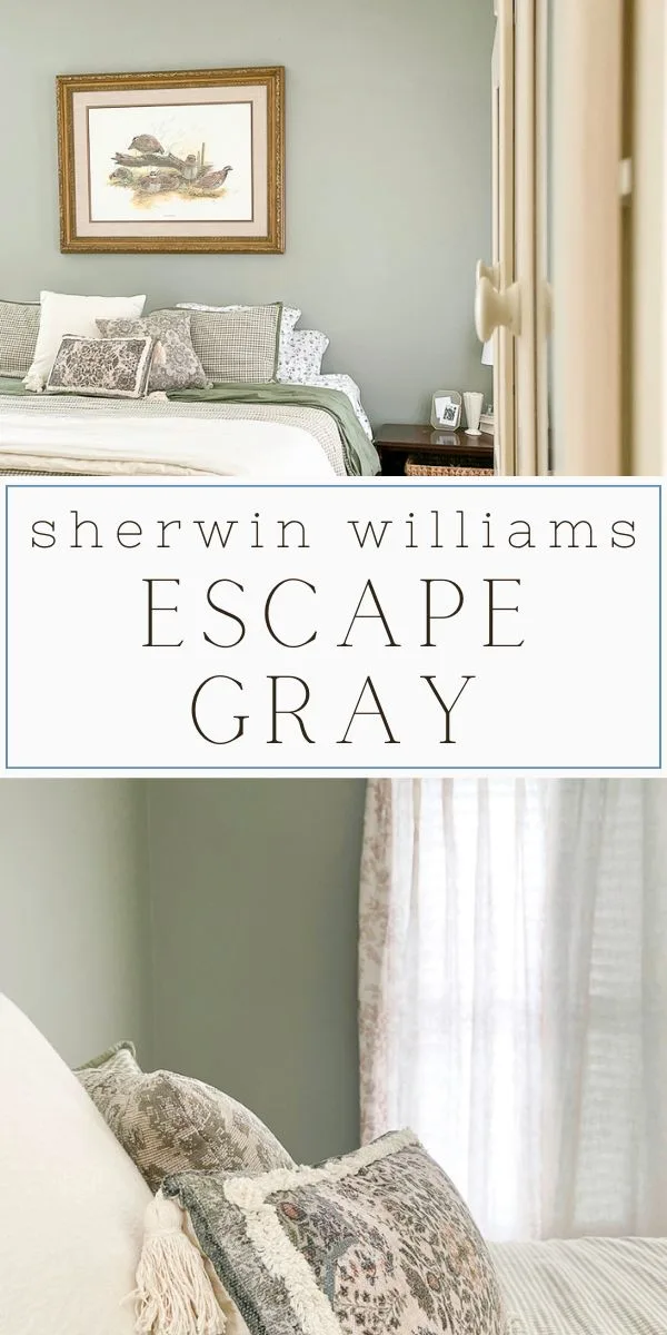 Sherwin Williams Escape Gray