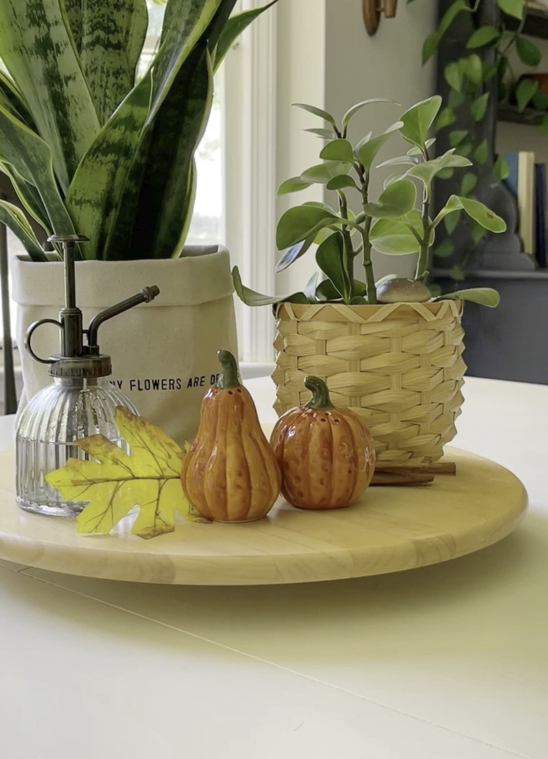 Table centerpiece with plants, autumn leaves and orange pumpkin salt and pepper shader.