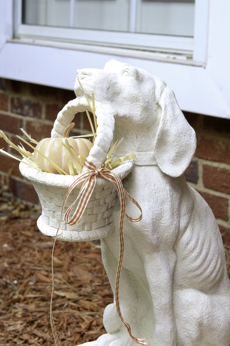 Decorating a dog holding a basket statue with hay, small pumpkin and ribbon.