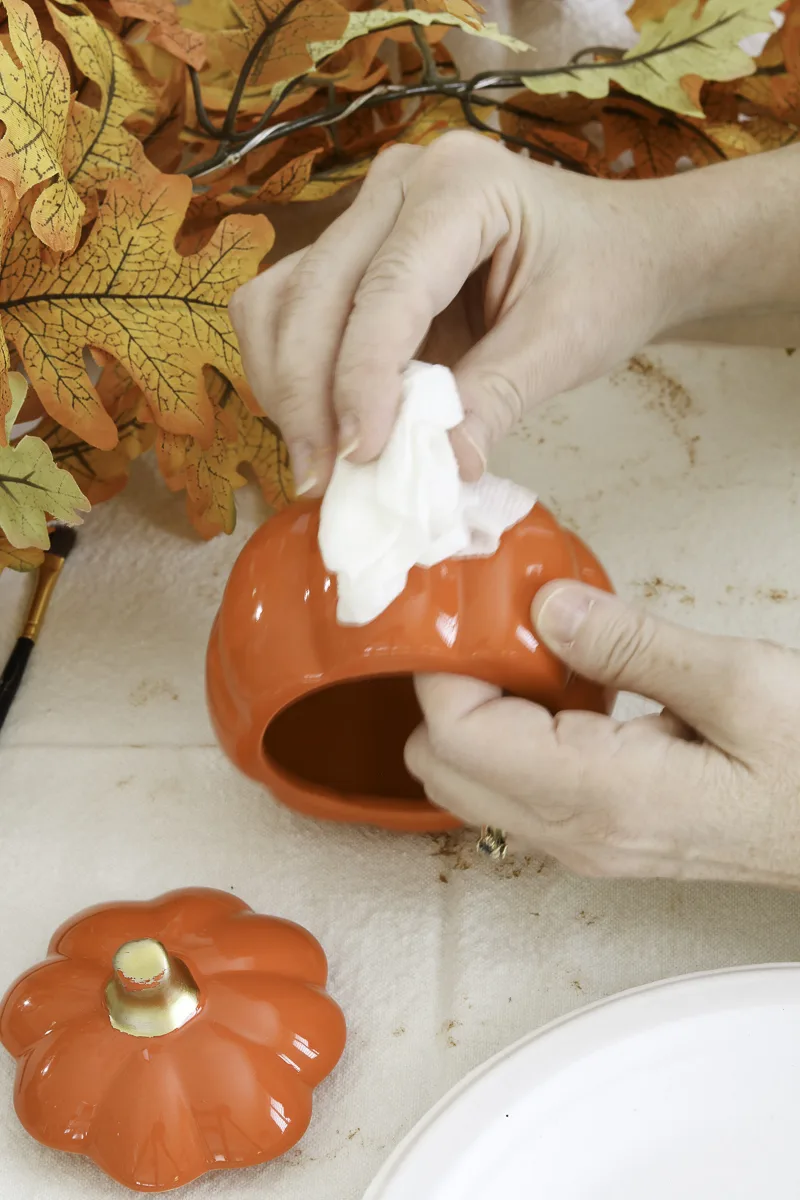 Terracotta pumpkin DIY - clean the pumpkin with a damp cloth