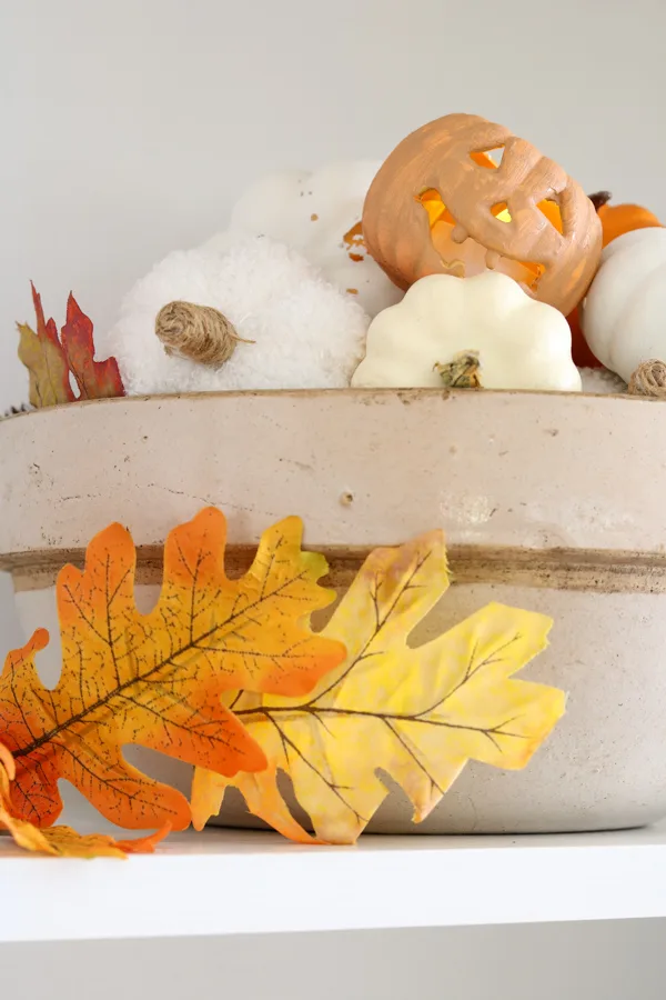 Decorating a bookcase with jack o lanterns