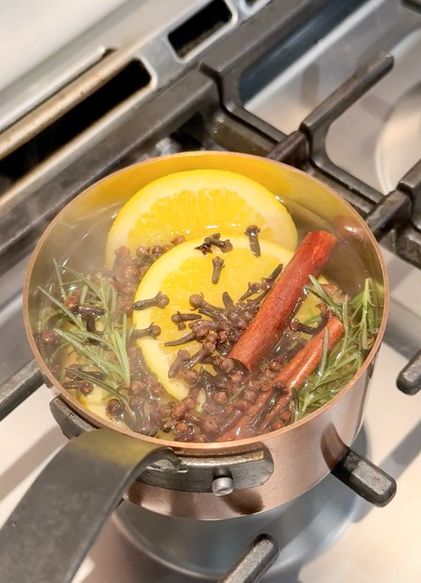 Christmas simmer pot