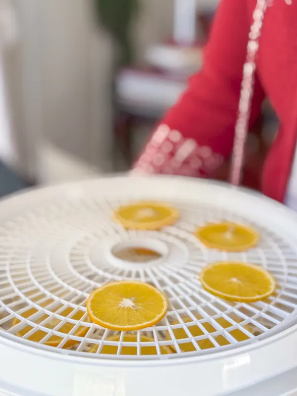 place the slices on the dehydrator