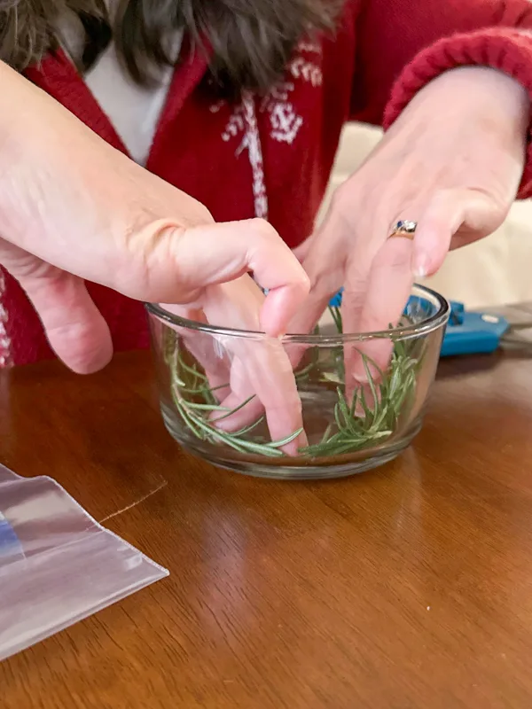 put rosemary in bowl around the bottom edges