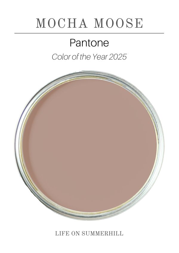 Mocha Moose Pantone 2025