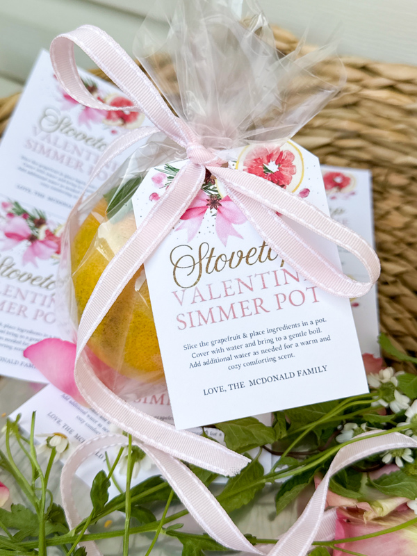 Valentine simmer pot gift bag with ribbon and tag