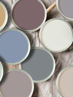 Paint color of the year 2025