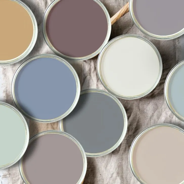 Paint color of the year 2025