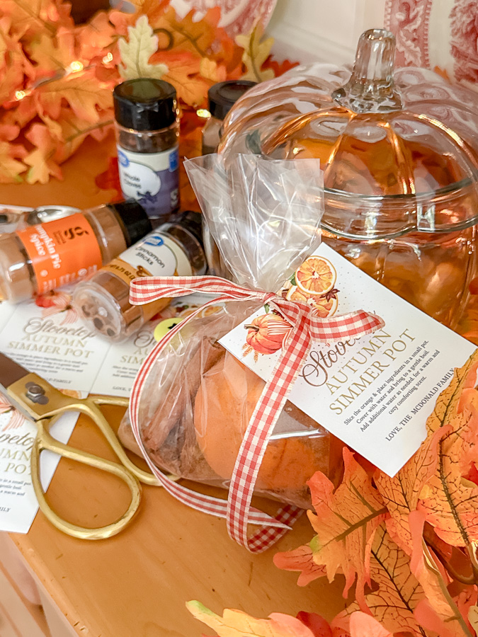 Fall simmer pot recipe. Pumpkin spice simmer pot