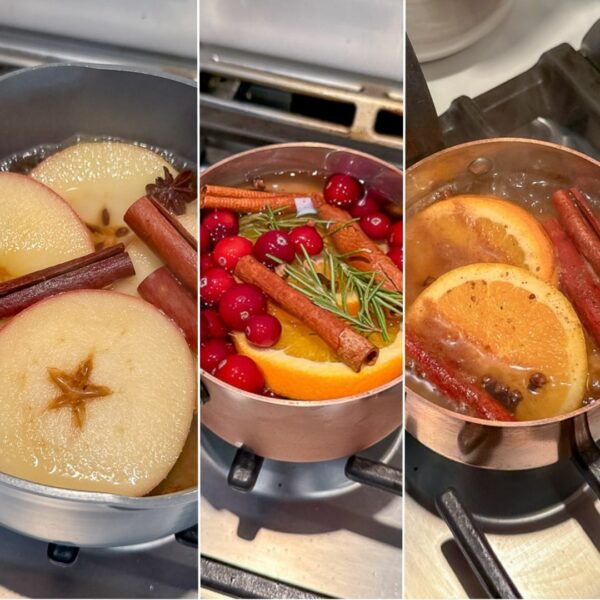 Fall simmer pot ideas