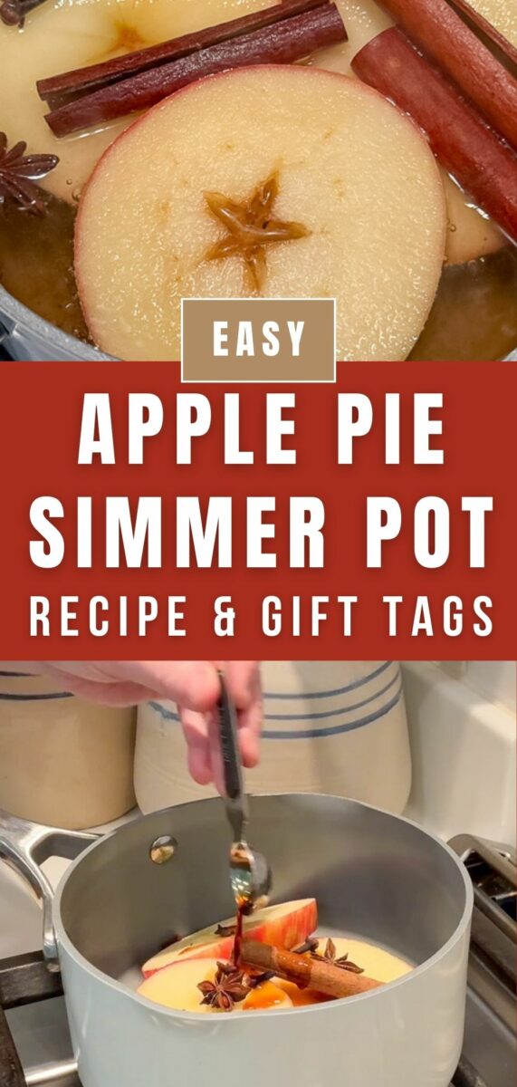 Apple pie simmer pot recipe