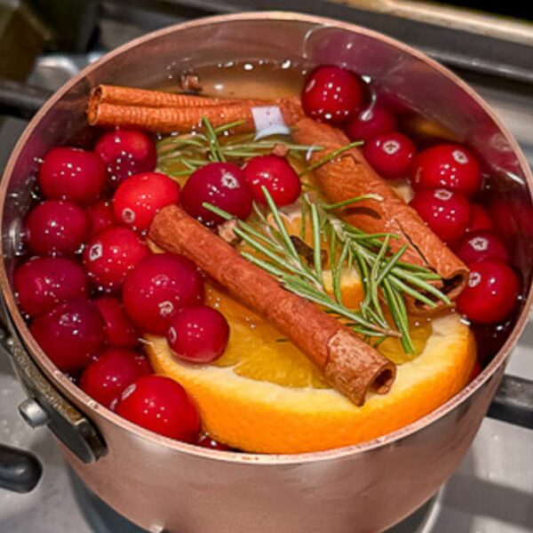 cranberry orange simmer pot recipe