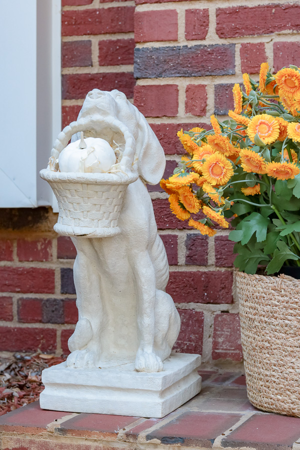 Dog statue holding a basket.  White chalk painted mini pumpkin in the basket.  Next to the dog is a faux mum.