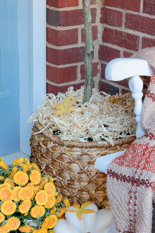 Fall tree in large basket that is filled with straw.