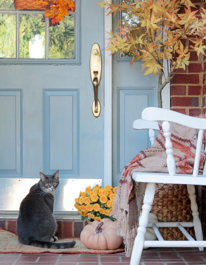 Brick porch with blue door.  Cat sitting on rug looking at camera.  Bench to the right with autumn blanket sitting on it.
