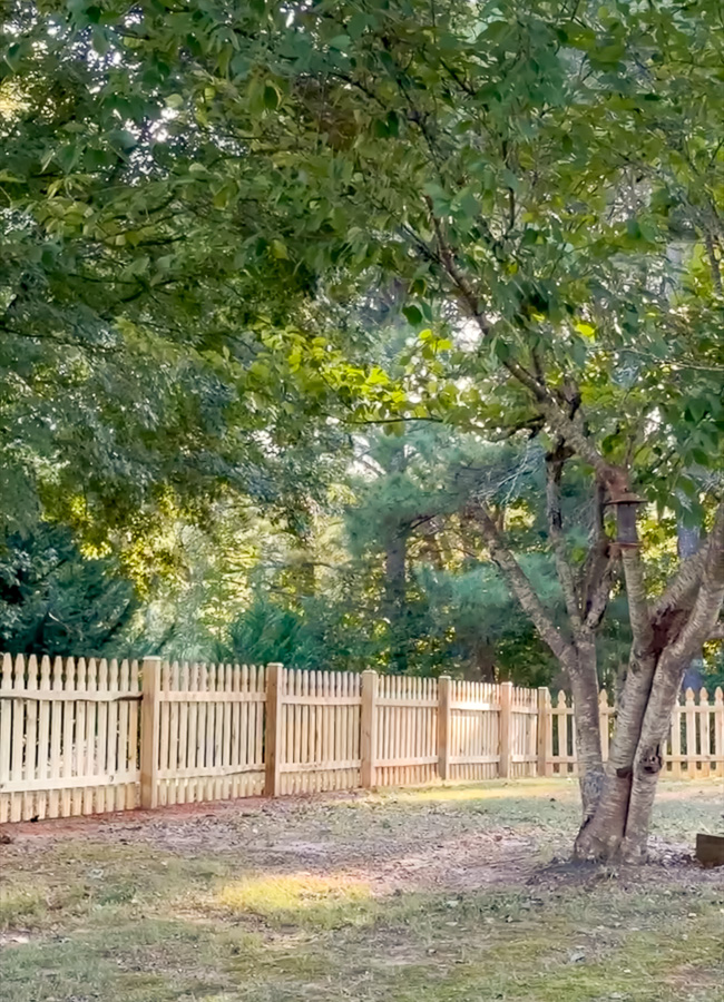 Back yard with wood picket fence