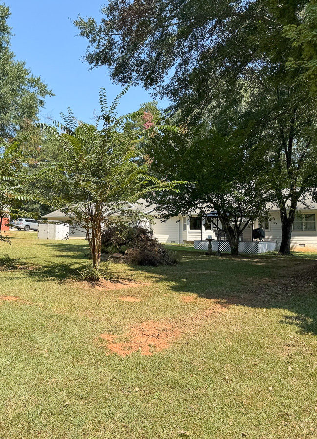 Landscape ready for a picker fence DIY.