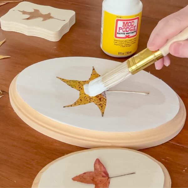 HOW TO PRESERVE LEAVES FOR HOME DECORATING