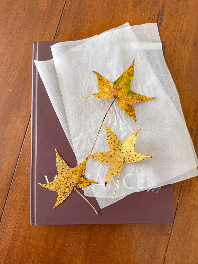 Preserving leaves in a book with a heavy book, fresh leaves and parchment paper.