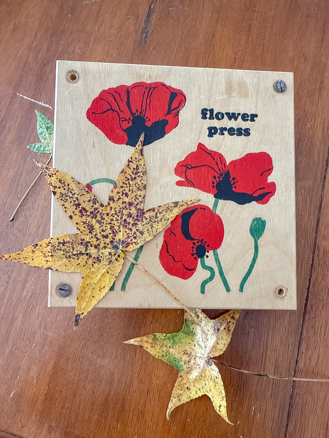 Flower press and autumn leaves