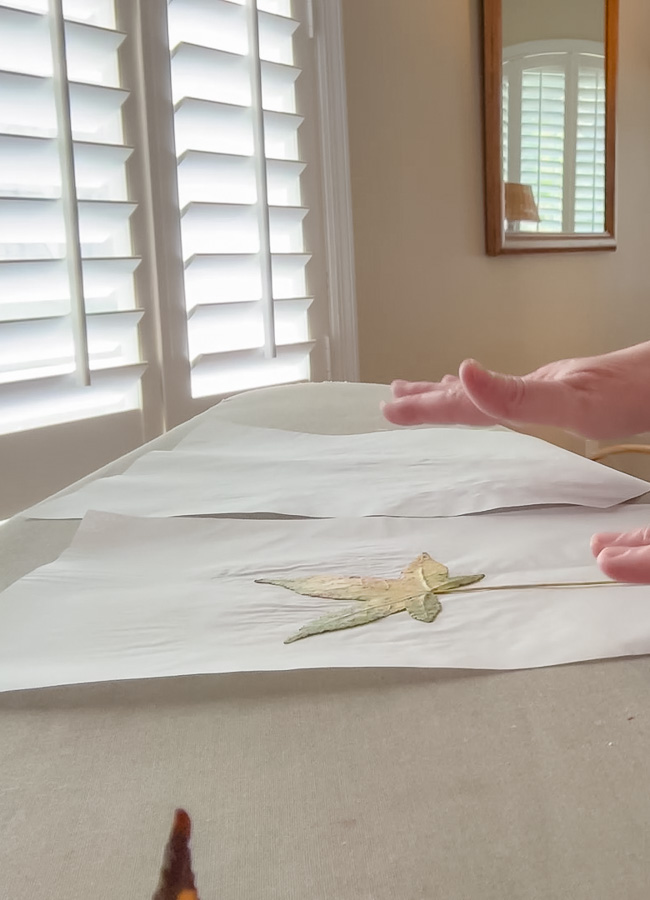 Parchment paper with a leaf on top.