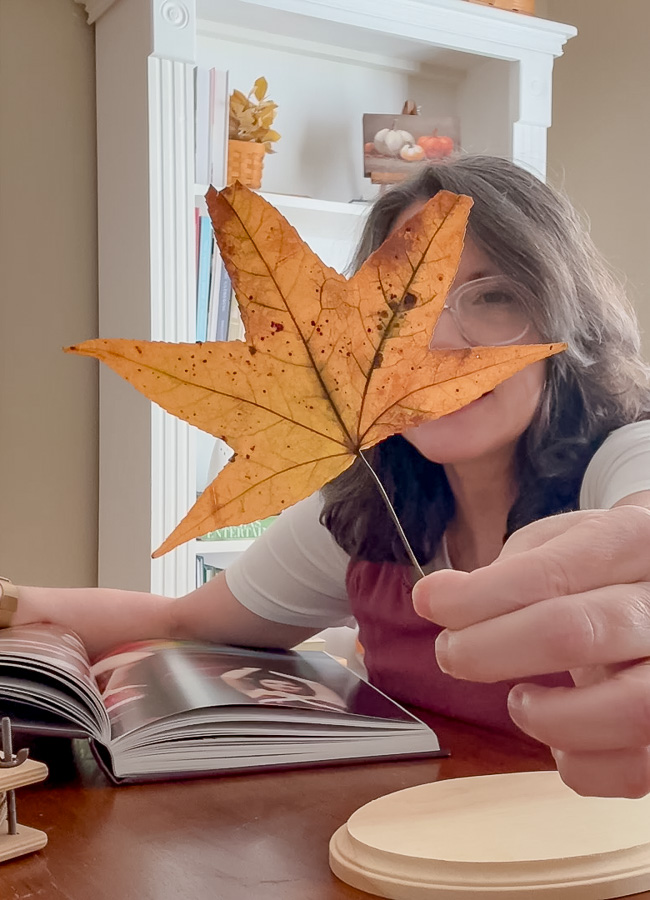 Fall leaf after preserving it with the book method