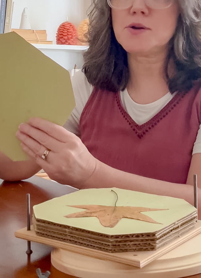Inside of a flower press with a leaf in between the pages.
