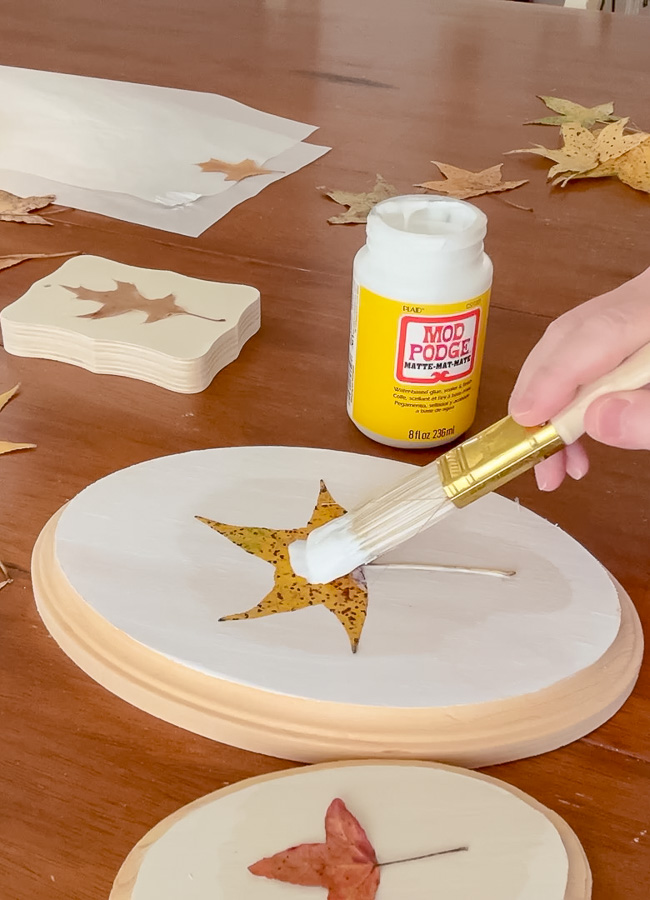 How to preserve leaves