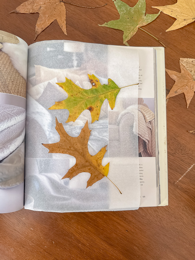 Open book with parchment paper and two maple leaves sitting on the paper.