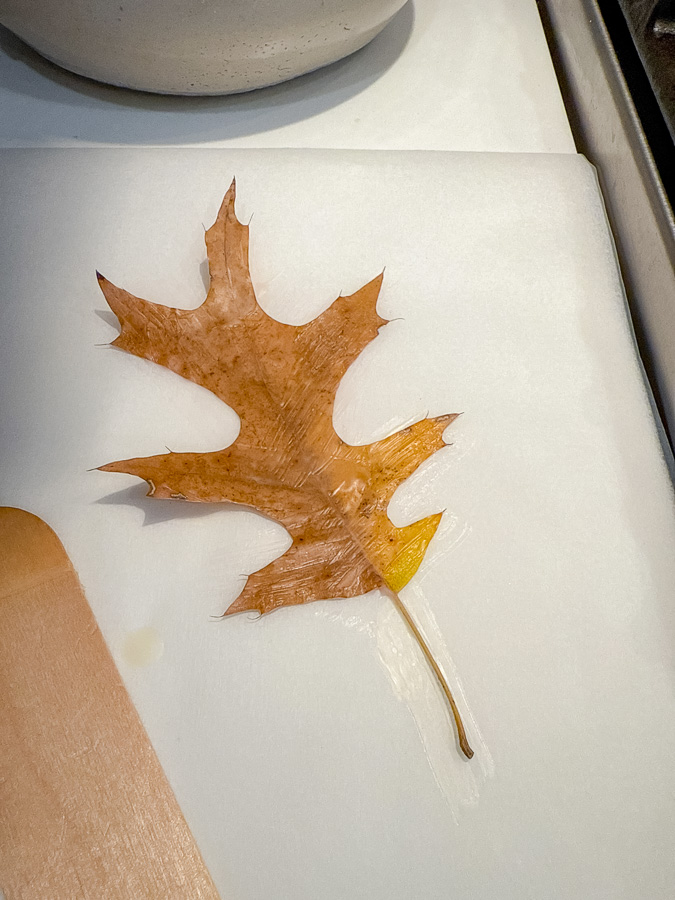 A fall leaf that has been painted with melted beeswax.