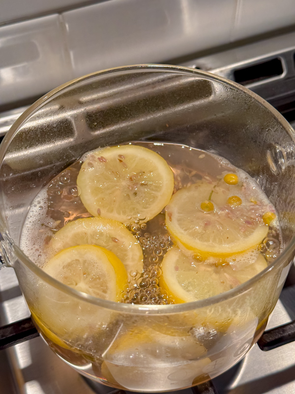 Simmering spring simmer pot